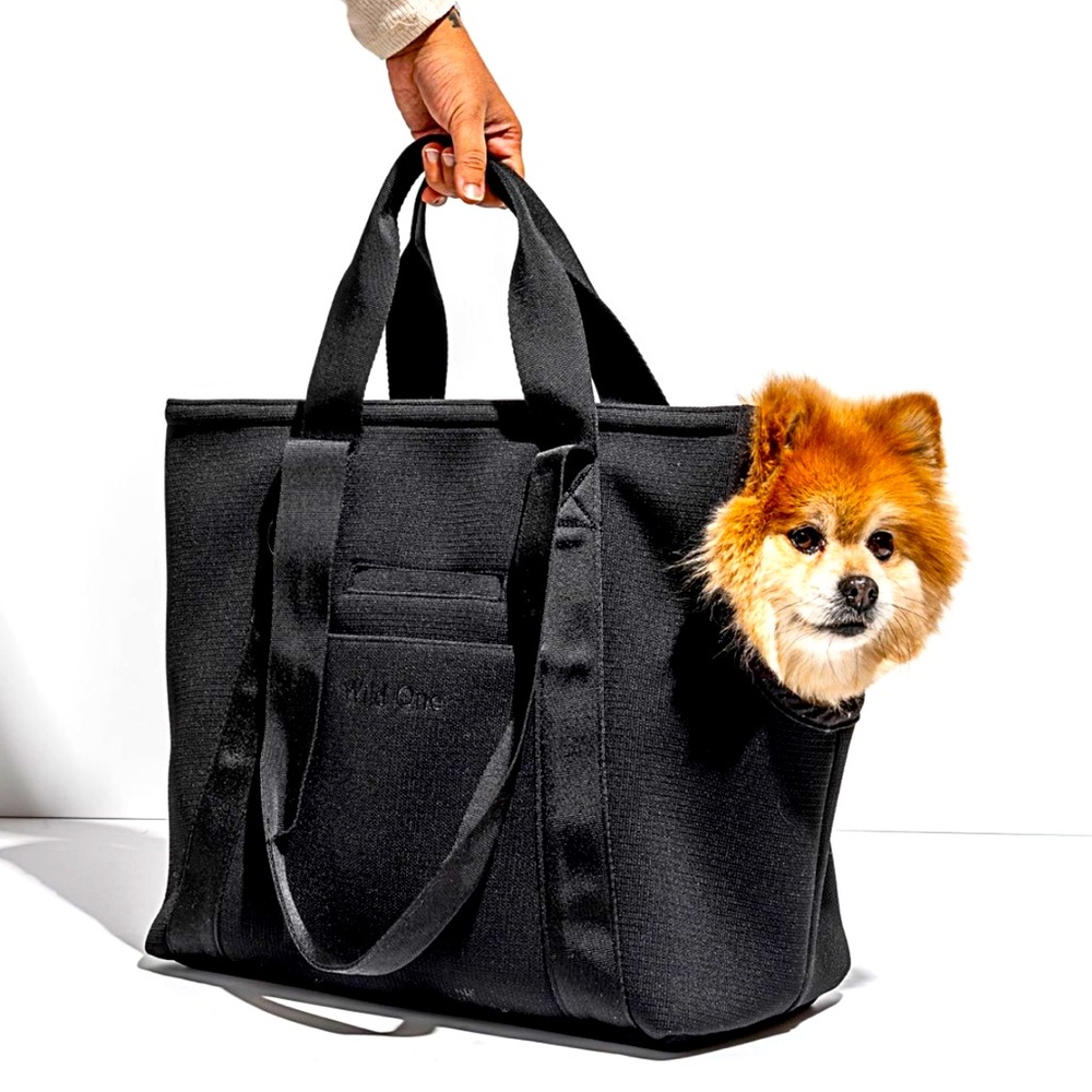 Wild One Everyday Pet Carrier